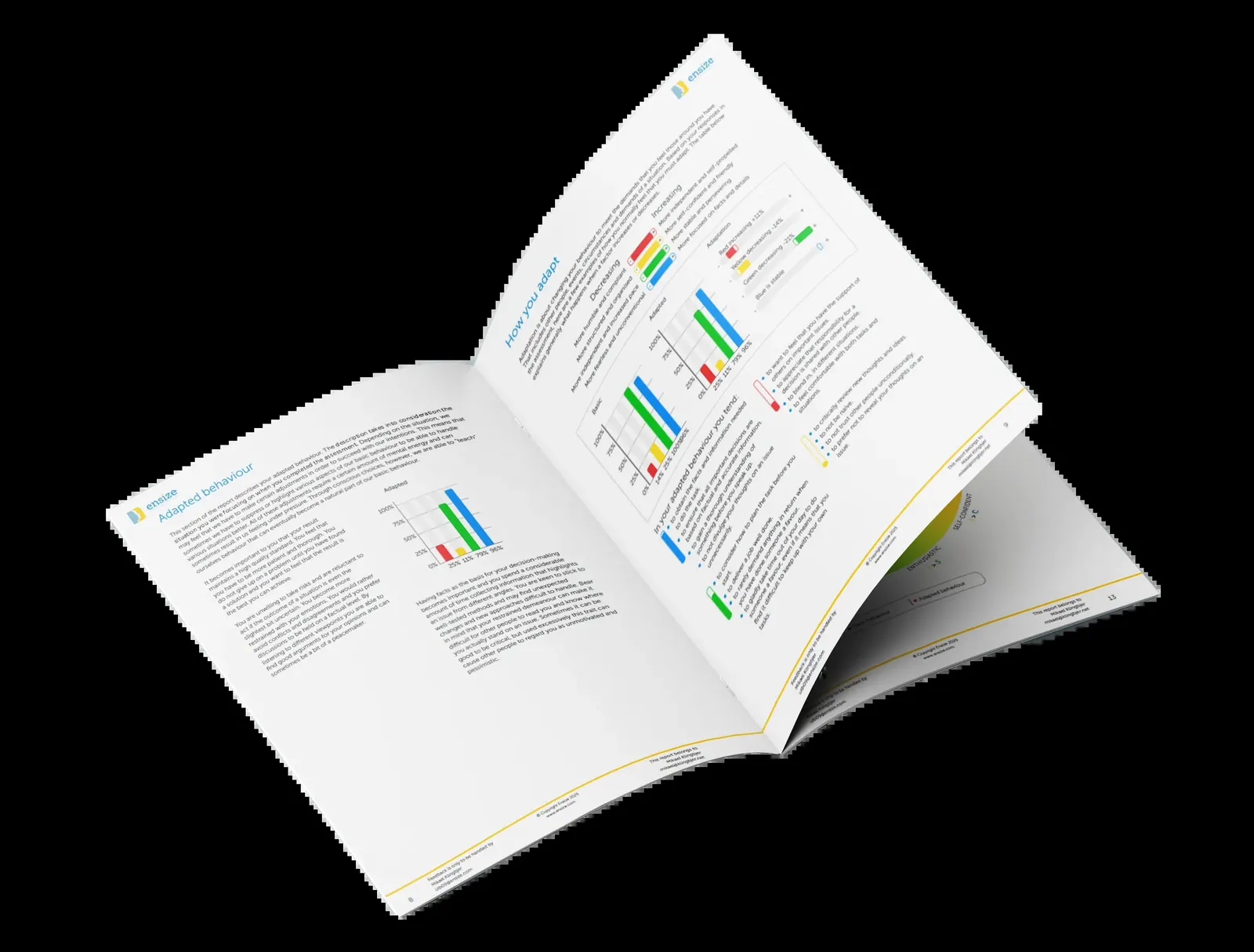 DISC rapport-voorbeeld