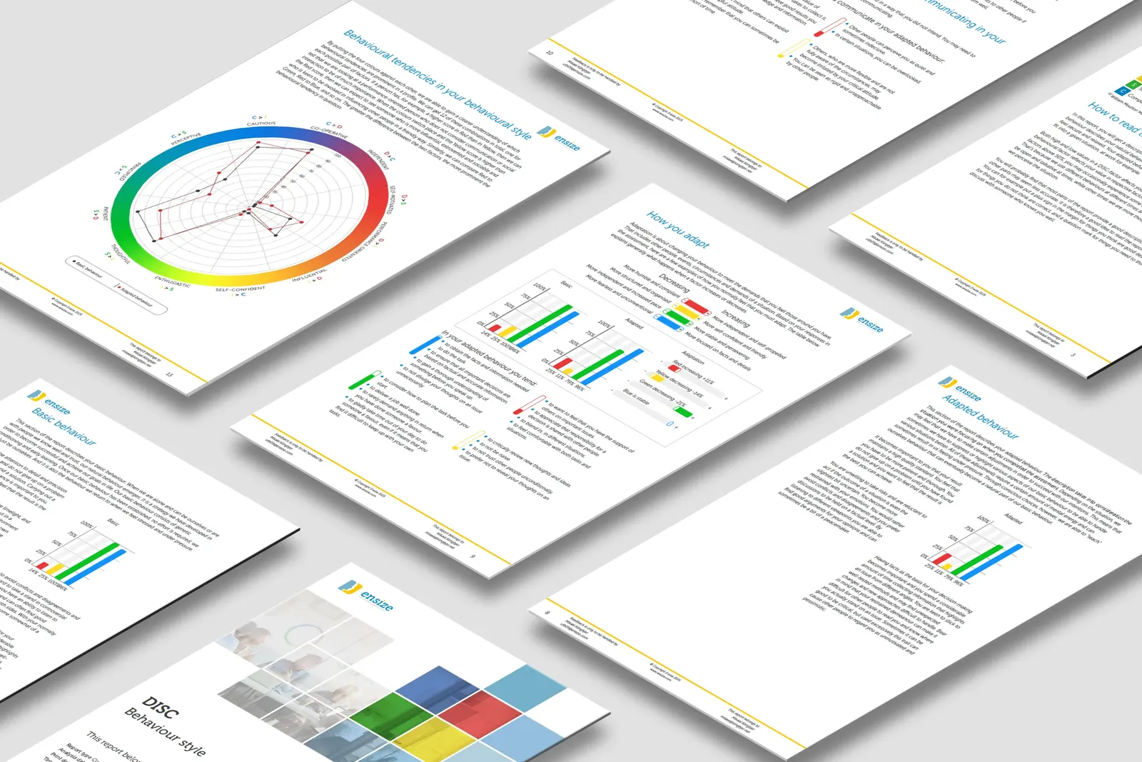 Opengeslagen DISC-rapport met kleurenprofiel en scoregrafieken