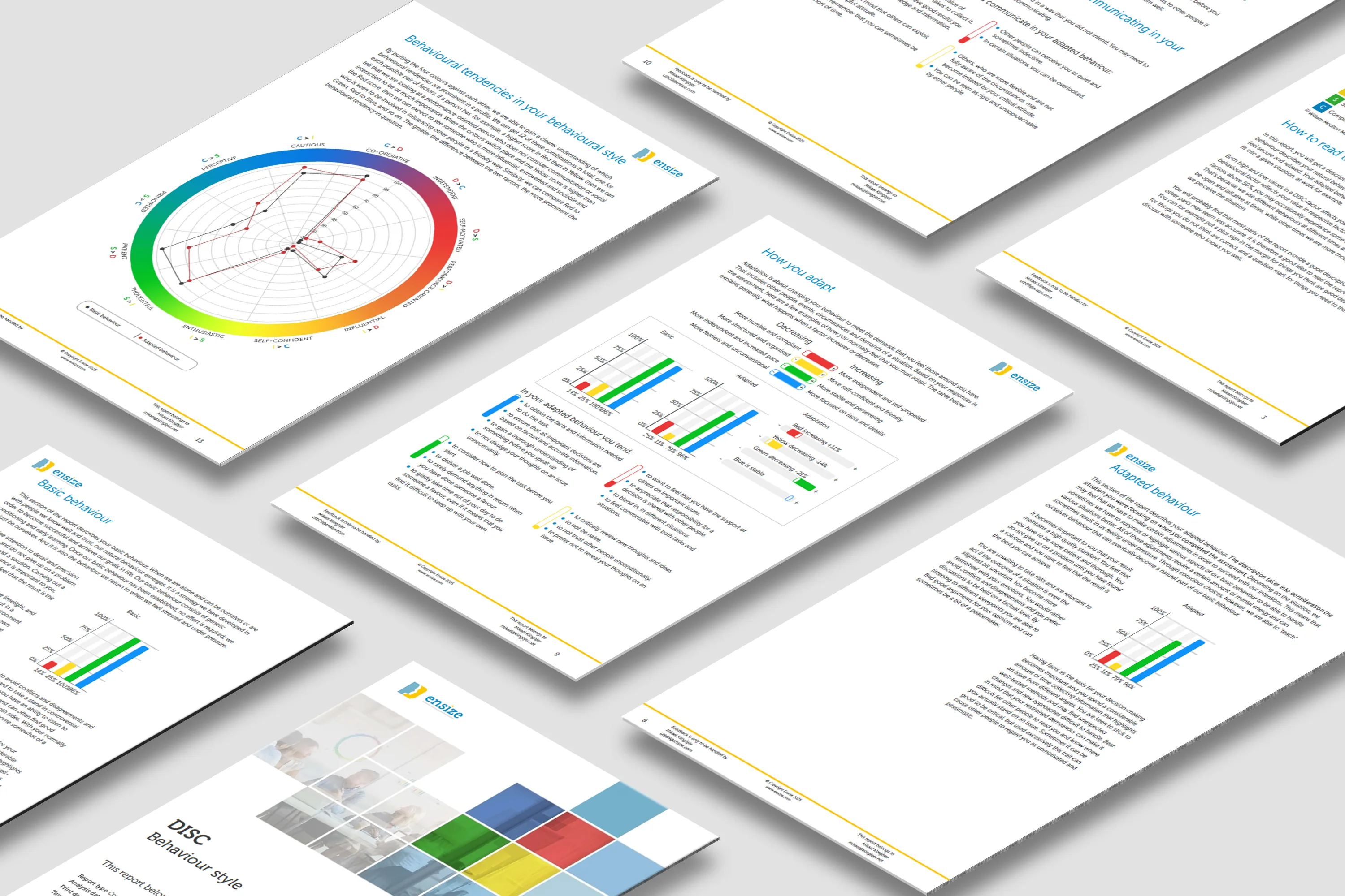 DISC rapport-spread